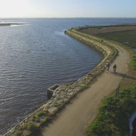 Maison Proche De La Mer Murtosa ภายนอก รูปภาพ