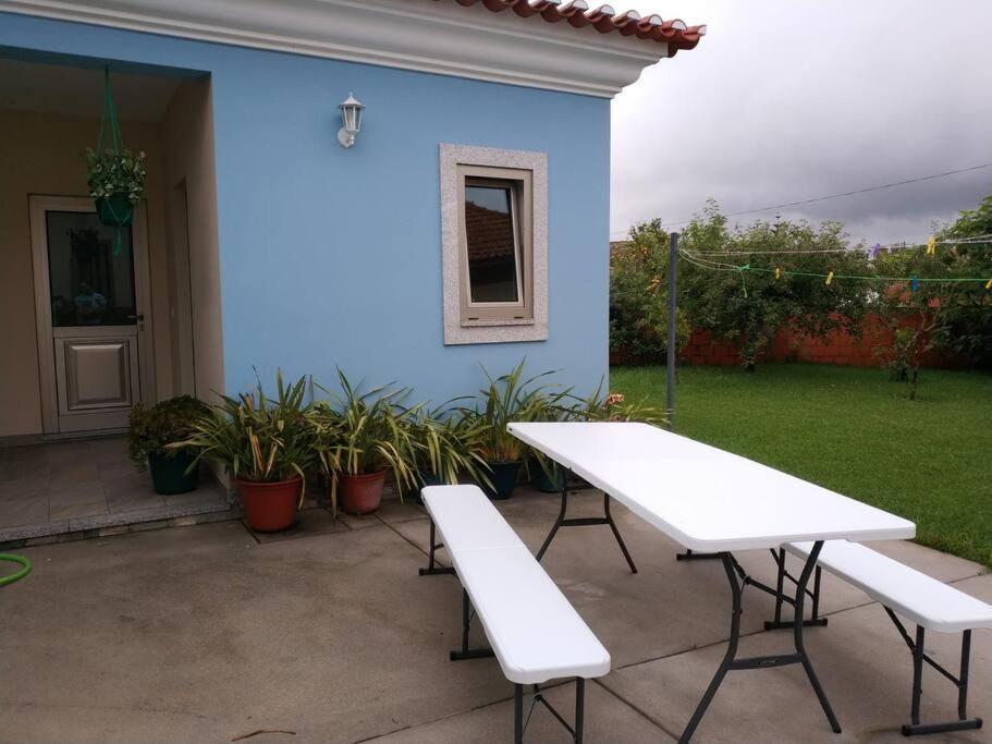 Maison Proche De La Mer Murtosa ภายนอก รูปภาพ